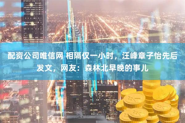 配资公司唯信网 相隔仅一小时，汪峰章子怡先后发文，网友：森林北早晚的事儿