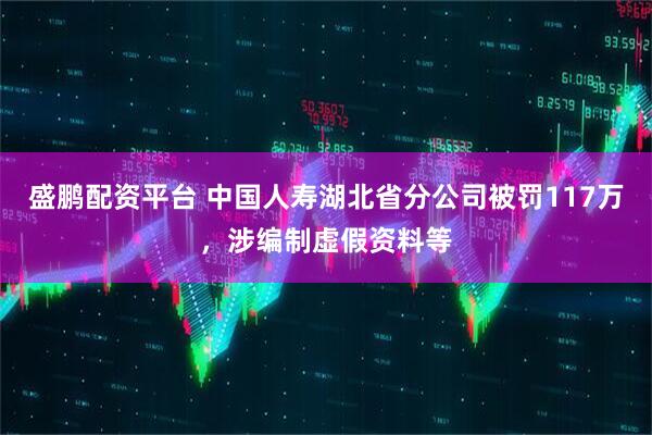 盛鹏配资平台 中国人寿湖北省分公司被罚117万，涉编制虚假资料等