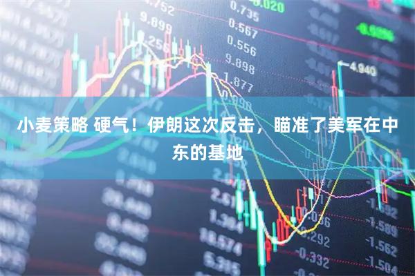 小麦策略 硬气！伊朗这次反击，瞄准了美军在中东的基地