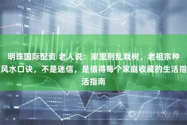 明珠国际配资 老人说：家里别乱栽树，老祖宗种树风水口诀，不是迷信，是值得每个家庭收藏的生活指南